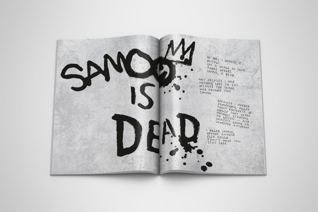 libro artista